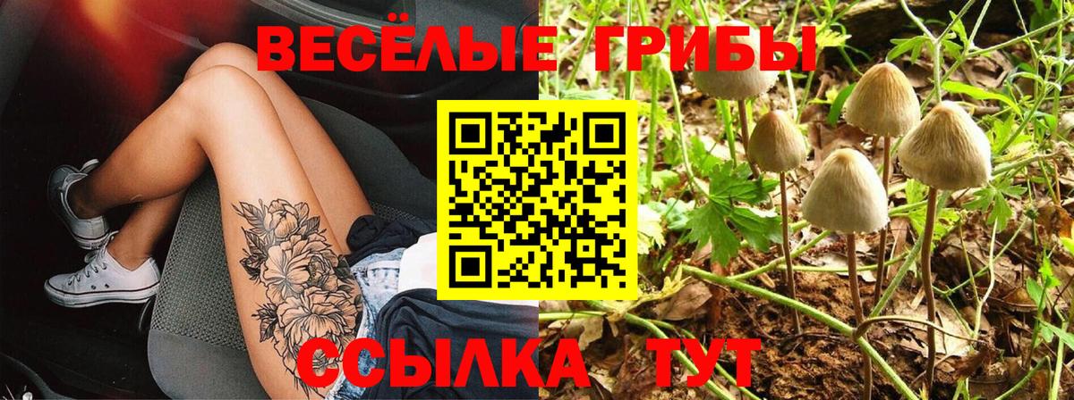 Калининград  Псилоцибиновые грибы GOLDEN TEACHER  Галлюциногенные грибы мицелий  Вход с VPN 